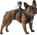 Dog Harness with GoPro Mount