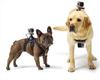 Dog Harness with GoPro Mount