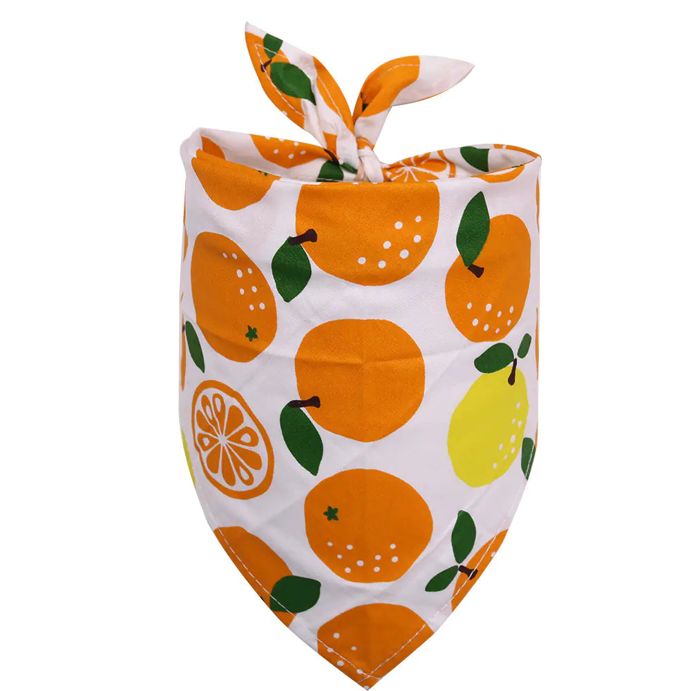 Pawfect Fruit Print Scarf