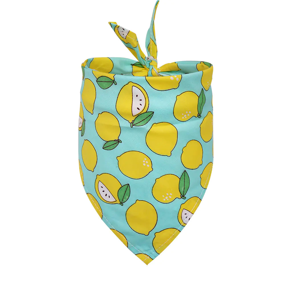 Pawfect Fruit Print Scarf
