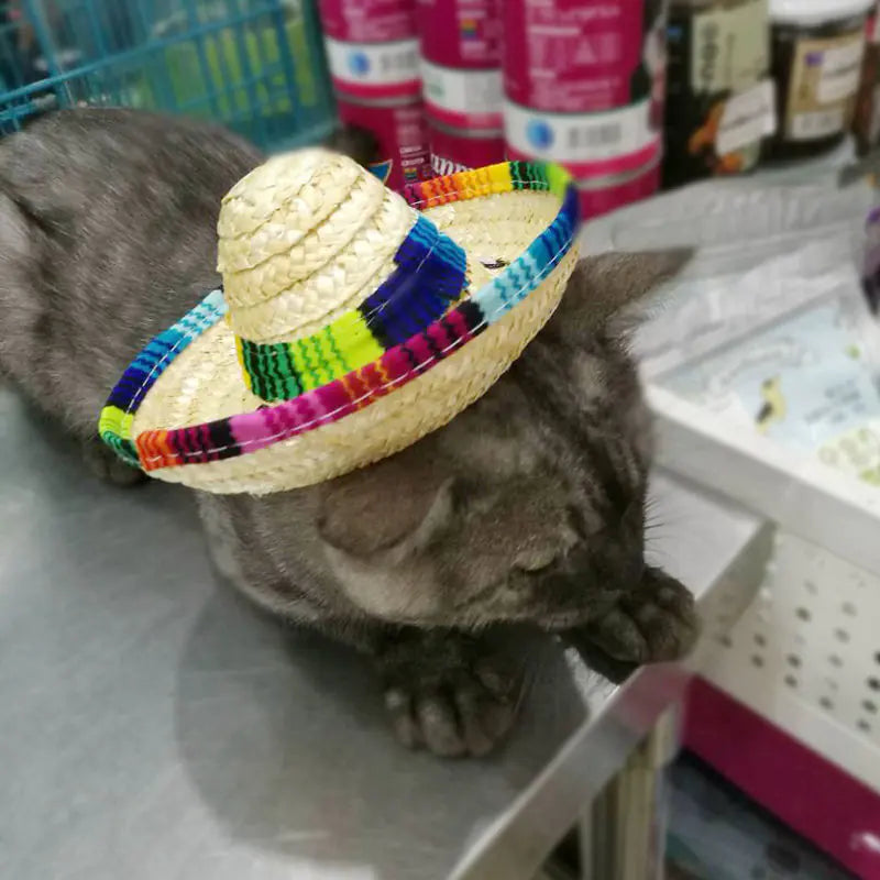 Pet Sun Hat for Dogs and Cats, Pet Accessories