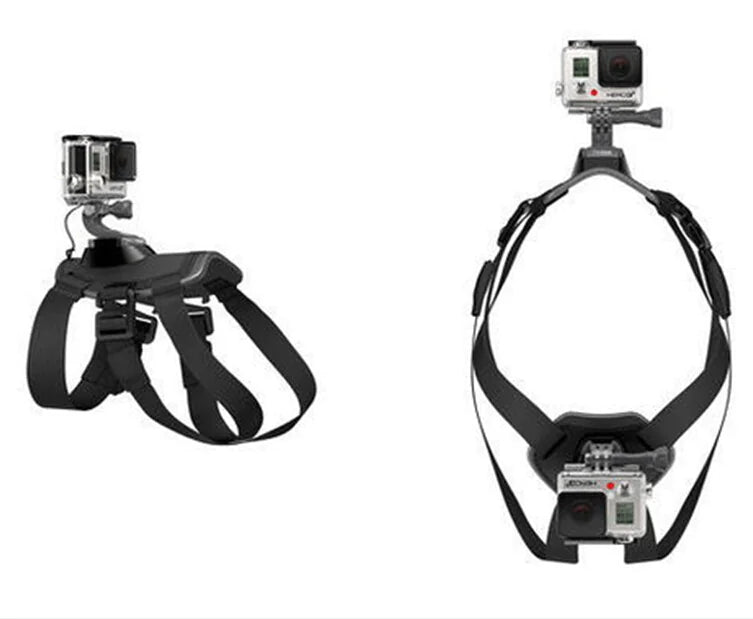 Dog Harness with GoPro Mount