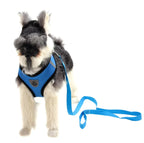 Premium Dog Harness