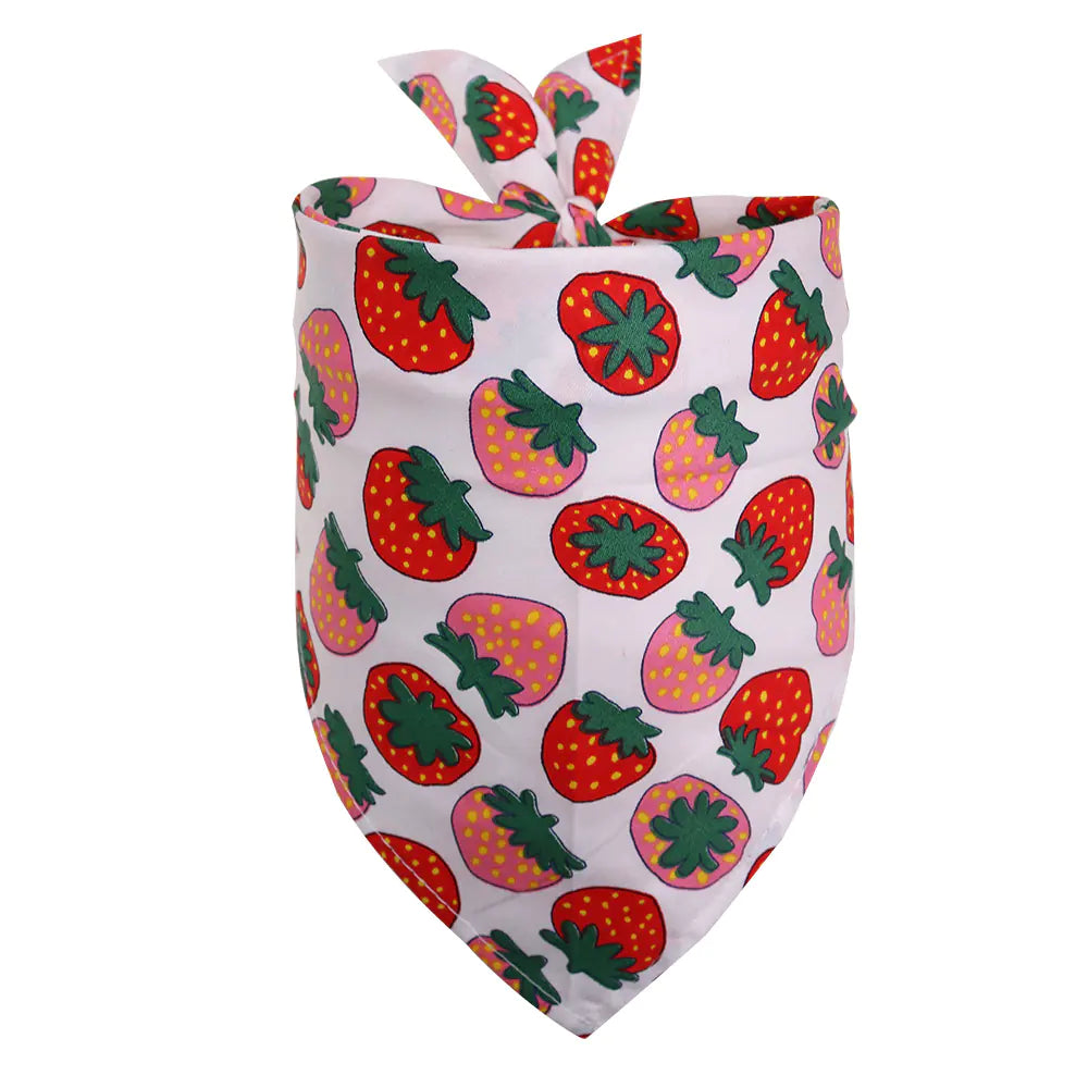 Pawfect Fruit Print Scarf